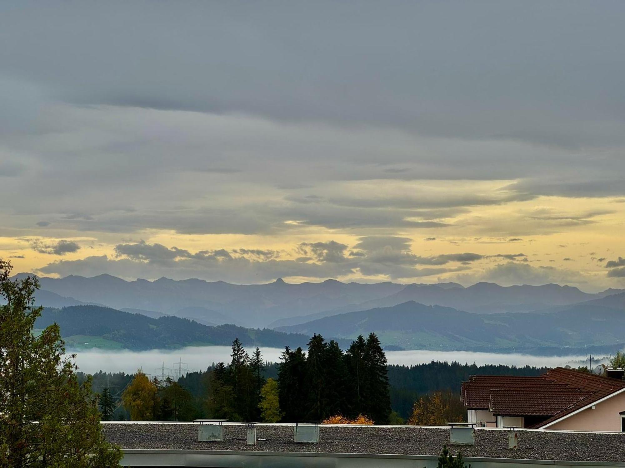 Jj Living - Alpenblick Apartment Scheidegg Bagian luar foto